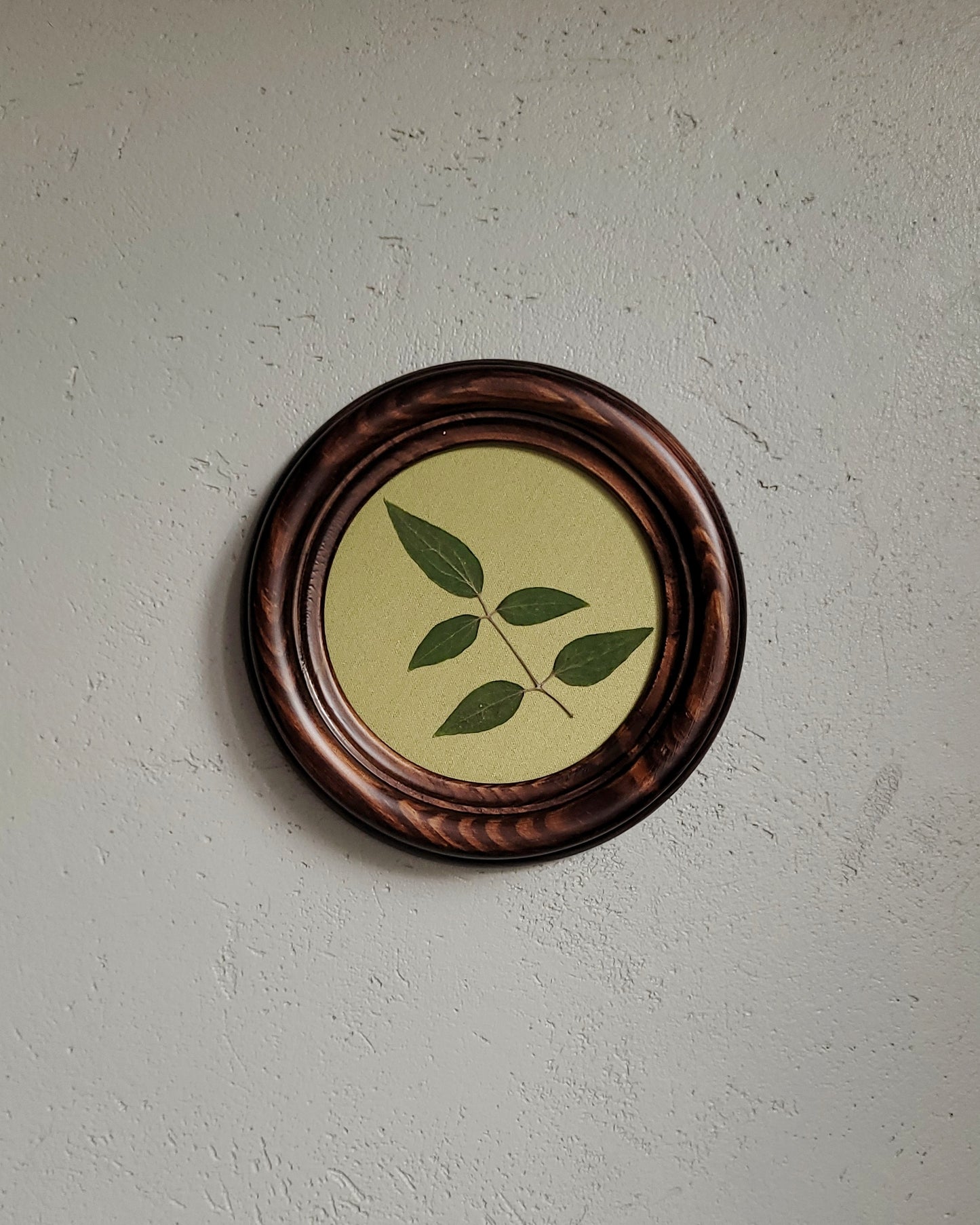 ALA retro 3.6