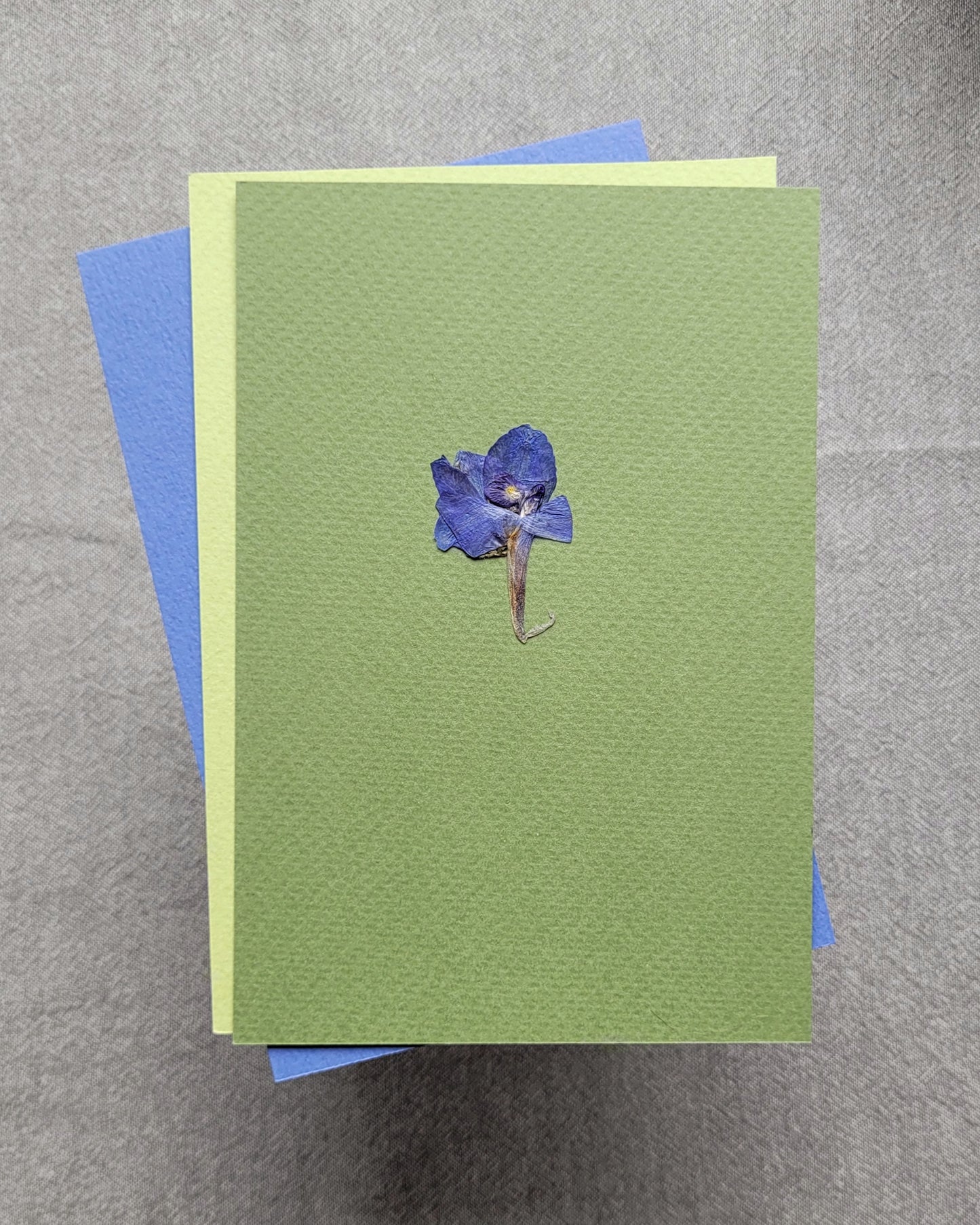PASTELE - no.06
