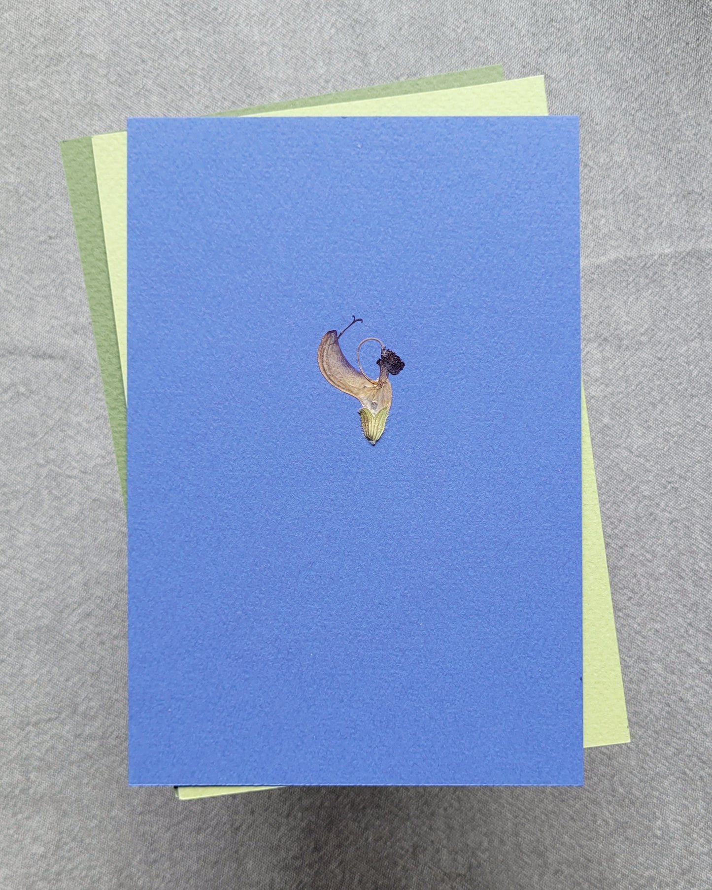 PASTELE - no.06