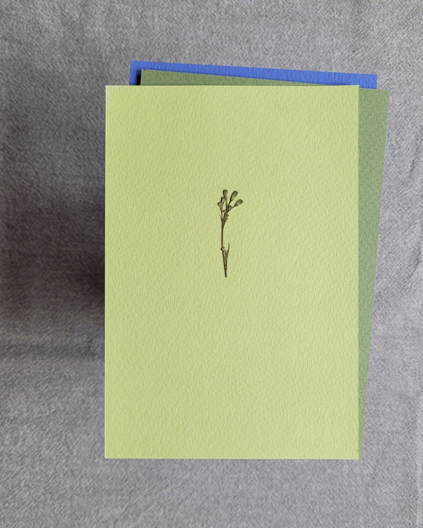 PASTELE - no.06