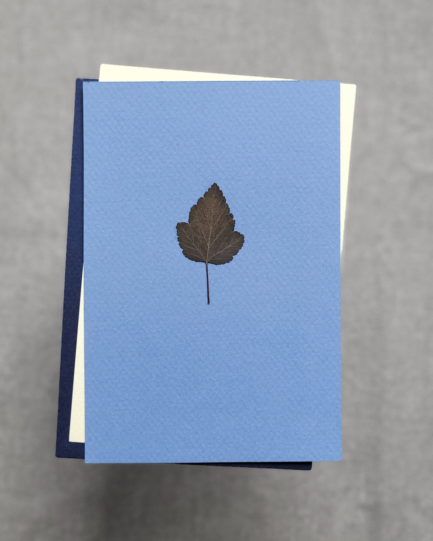 PASTELE - no.05
