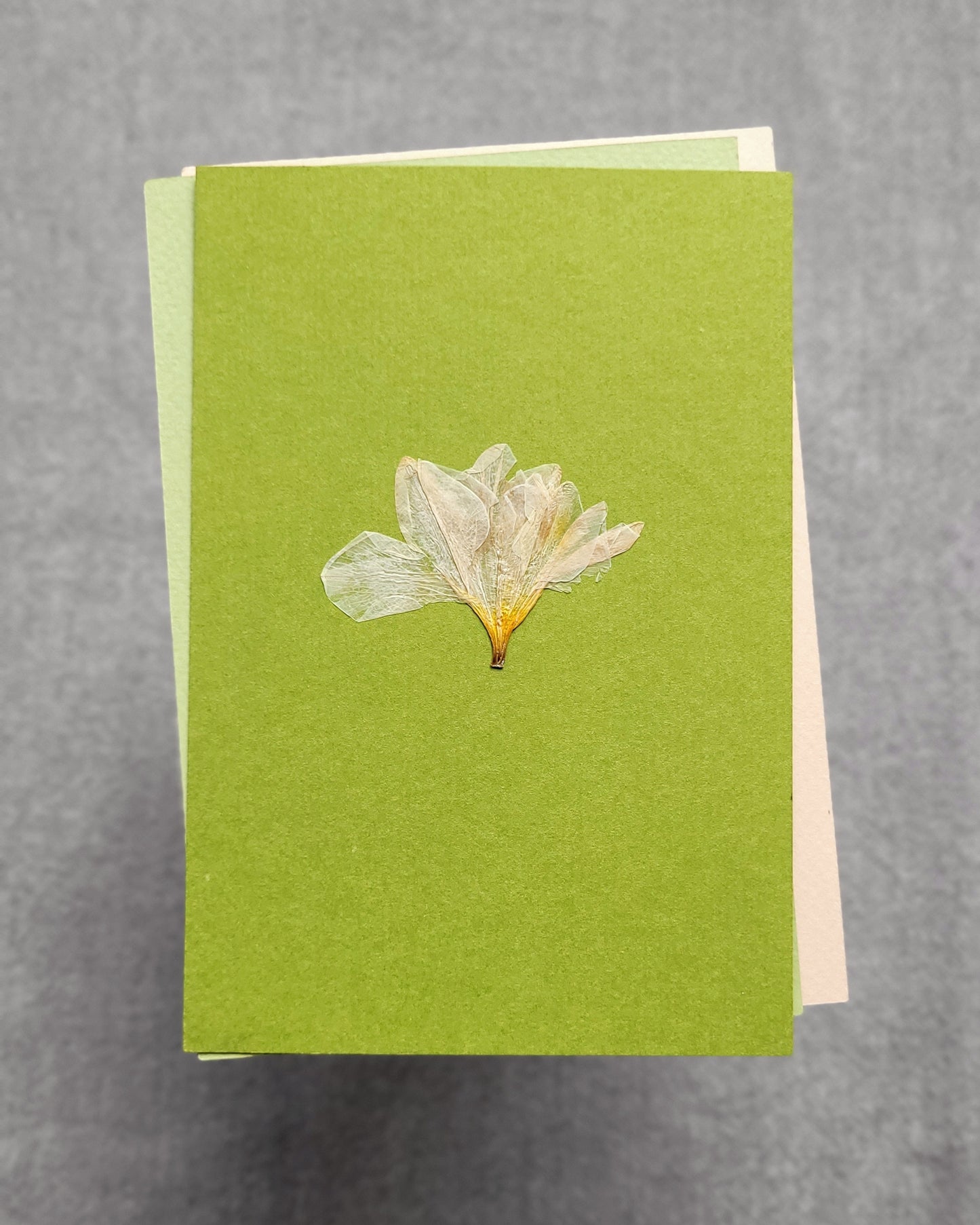 PASTELE - no.04
