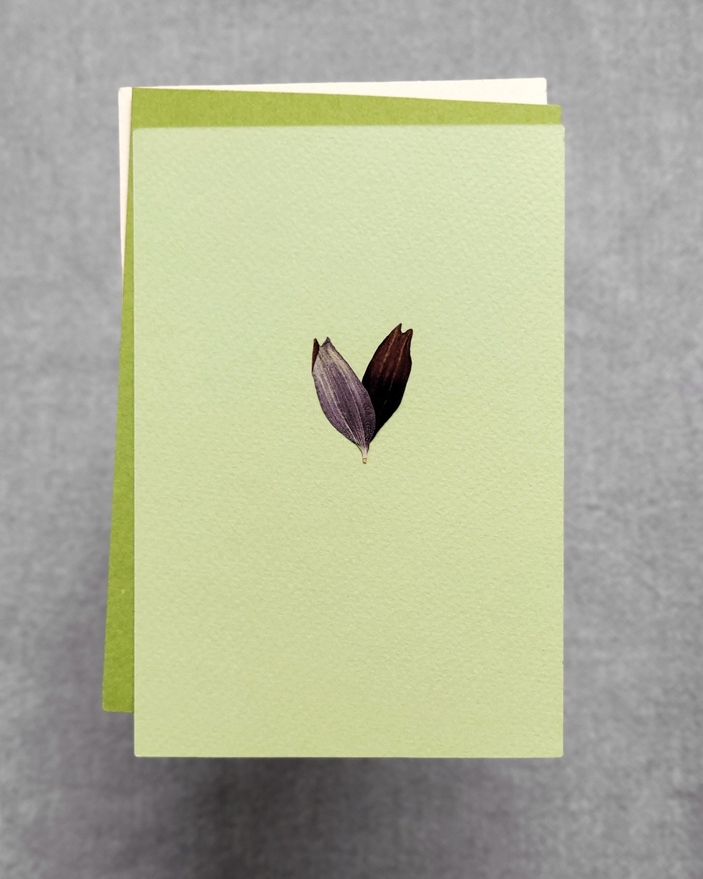 PASTELE - no.04