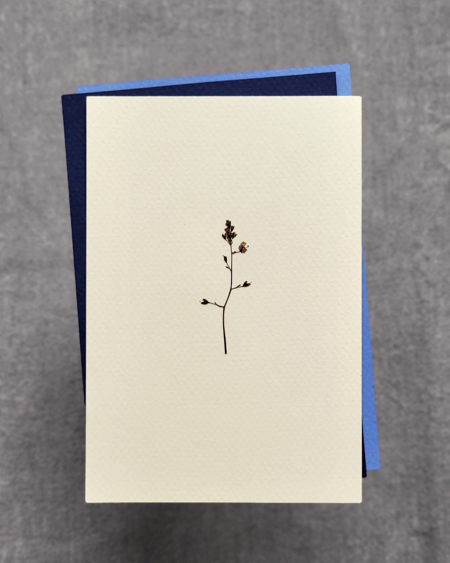 PASTELE - no.03