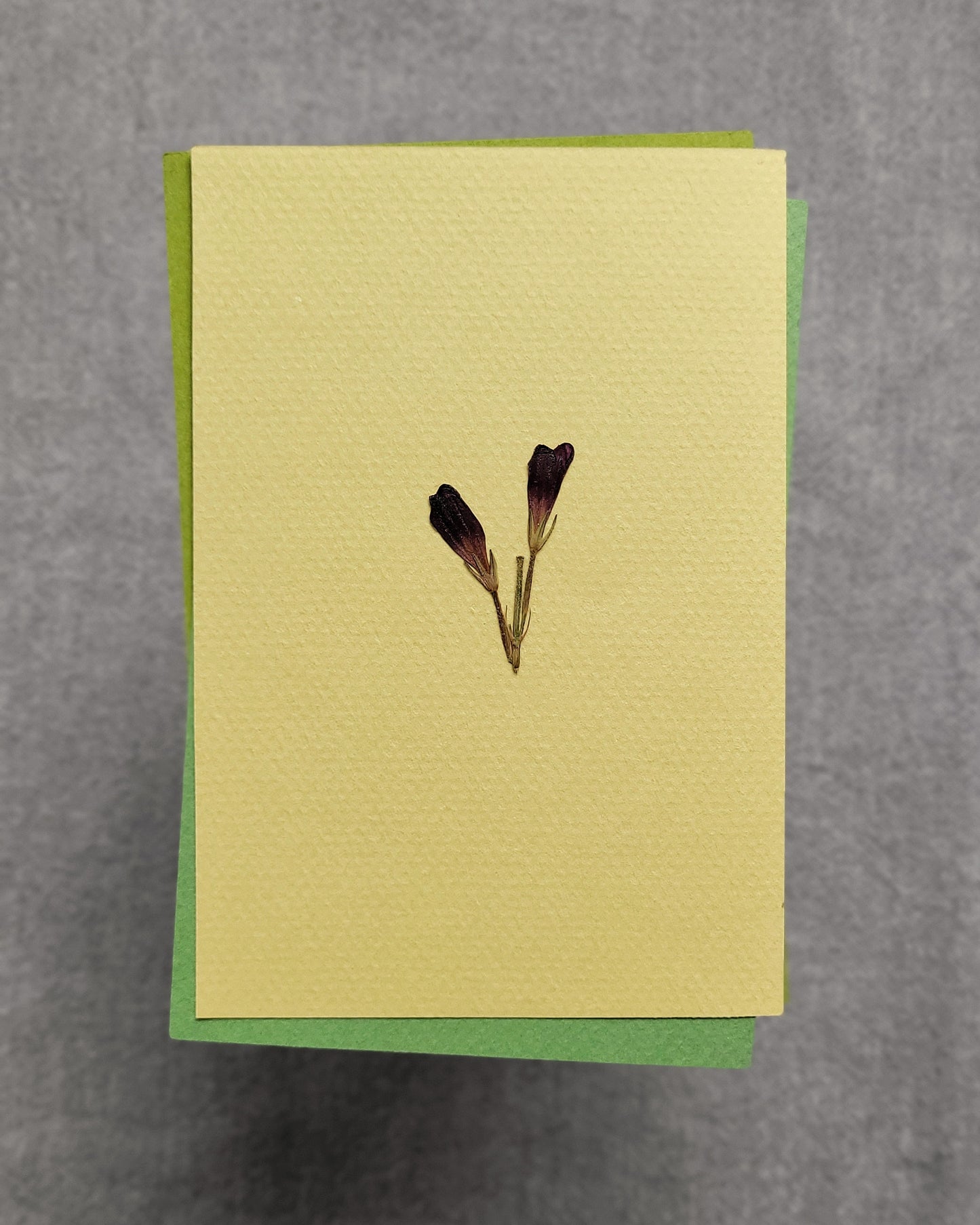 PASTELE - no.02