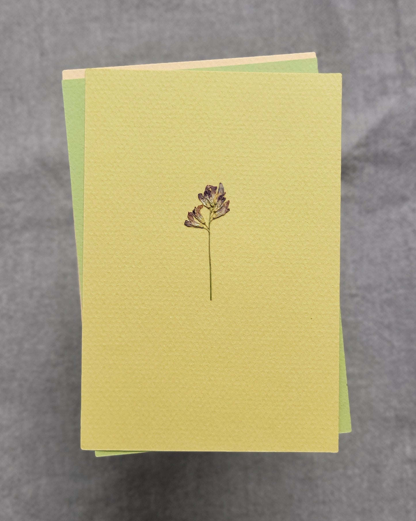 PASTELE - no.01