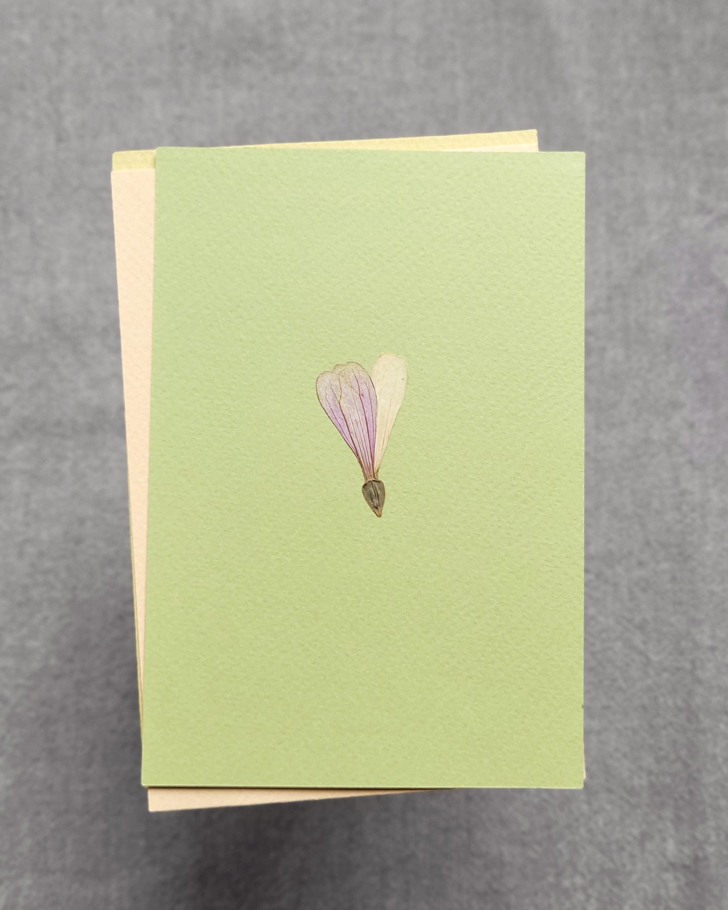 PASTELE - no.01