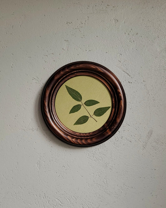 ALA retro 3.6